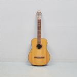 1318 5038 GUITAR